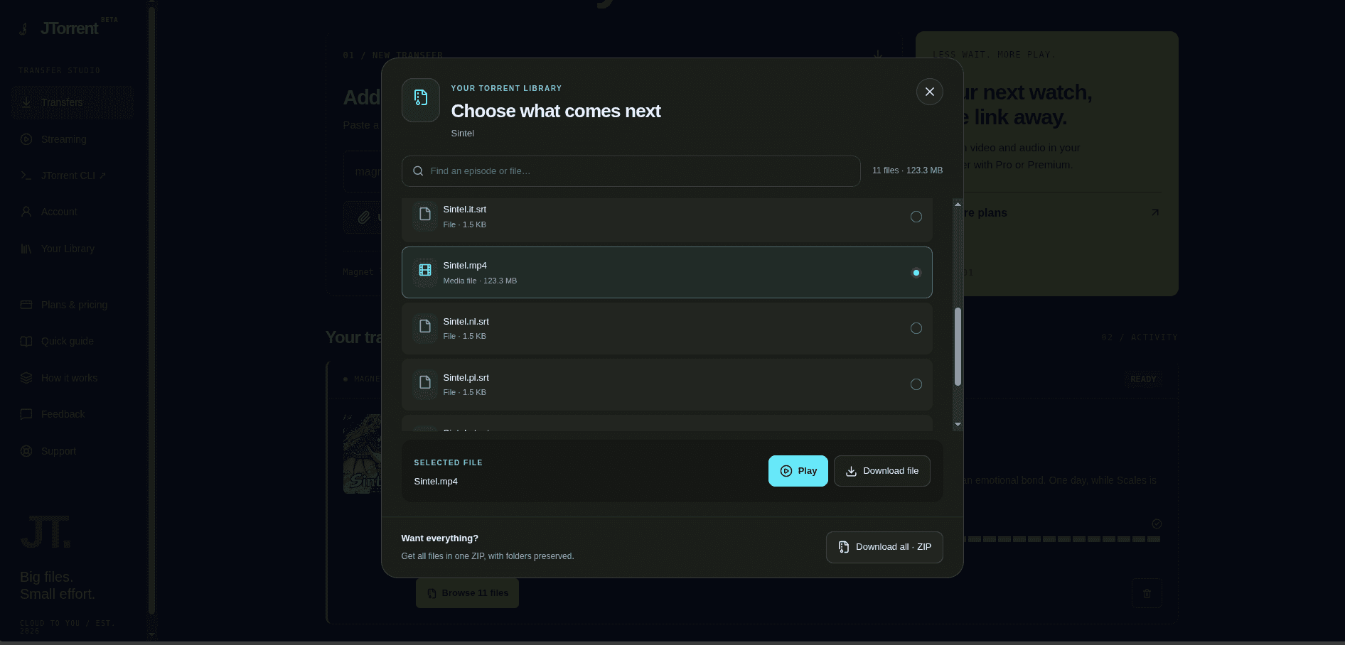JTorrent screenshot 4